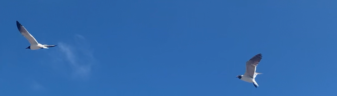 Profile banner image for Ashlei