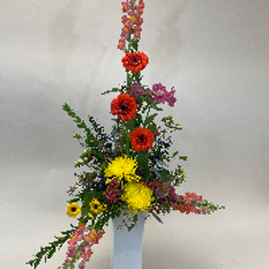 Profile avatar image for Cse2003