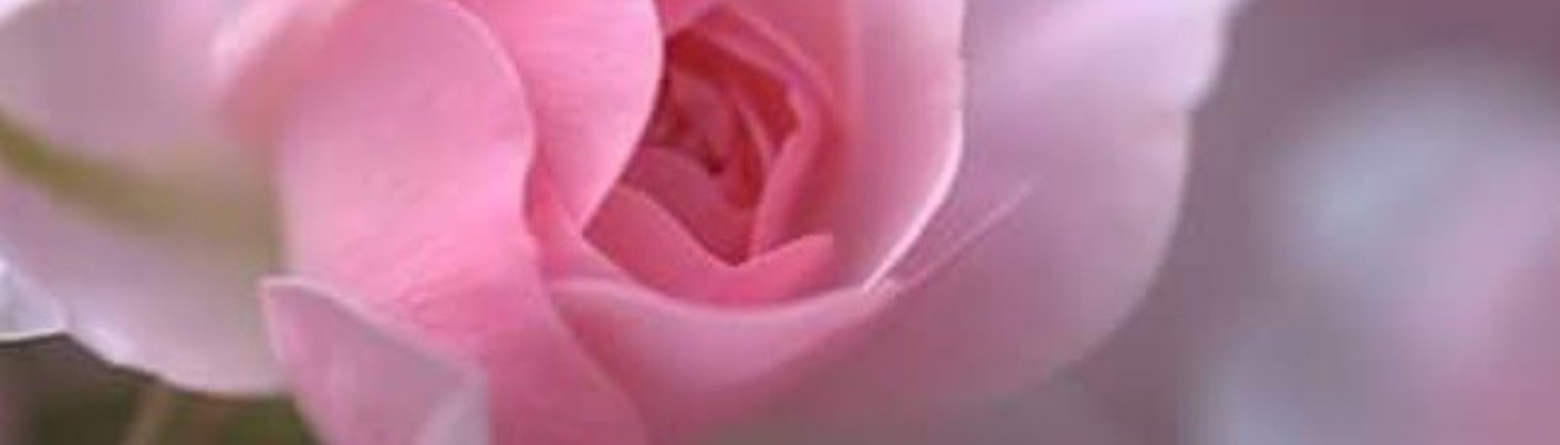 Profile banner image for Brianne5010