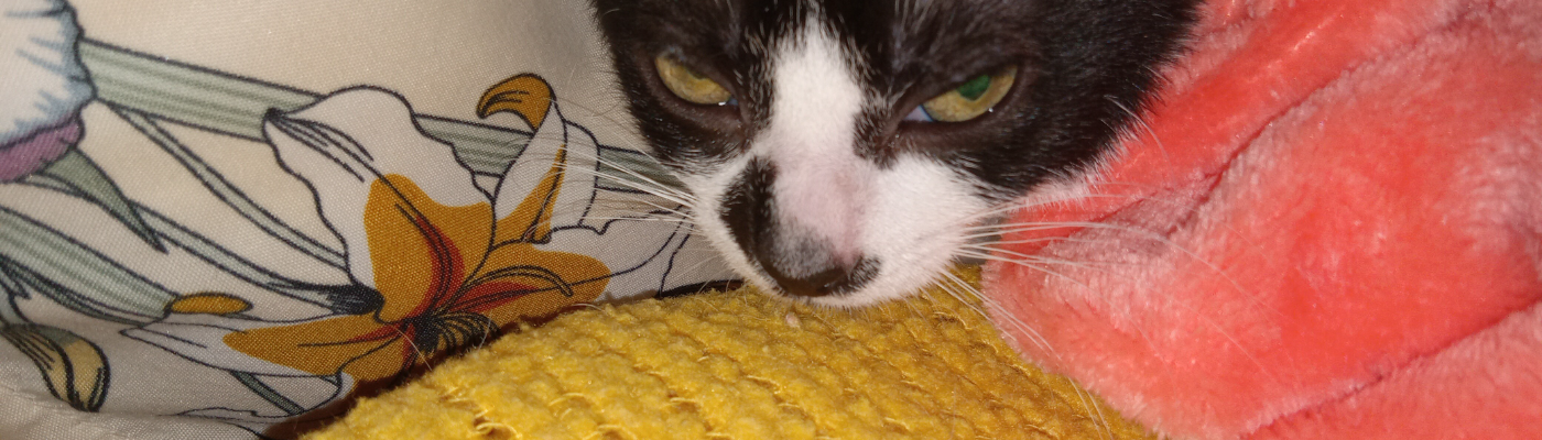 Profile banner image for Burningpages