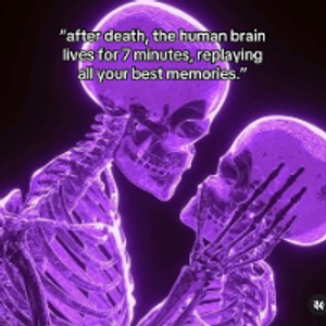 Profile avatar image for Mo_bella