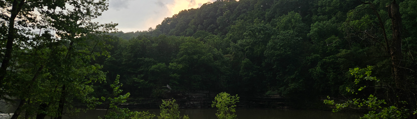 Profile banner image for Magic2020