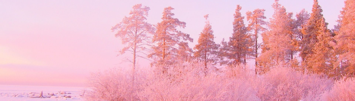 Profile banner image for Kela_brown