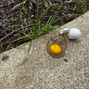 Profile avatar image for JayBert11