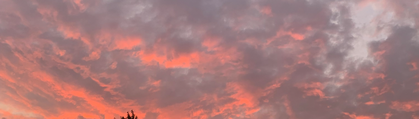 Profile banner image for Katkid7614