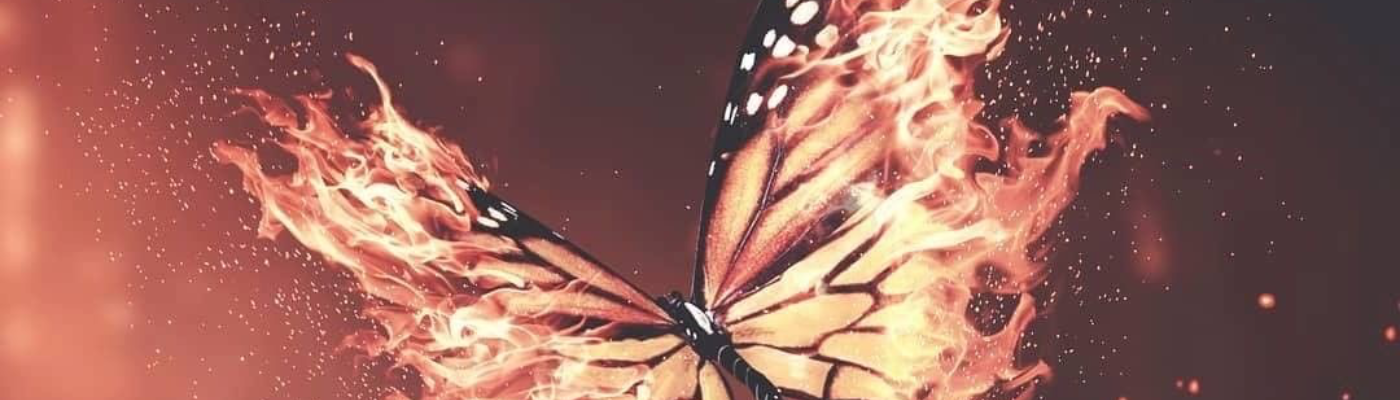 Profile banner image for snowbutterfly