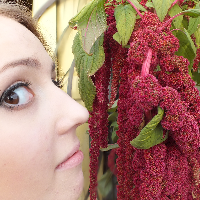 Profile avatar image for FoxHunt