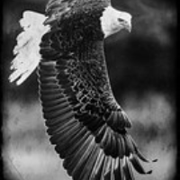 Profile avatar image for Sandymancan