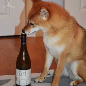 Profile avatar image for alex_russo113