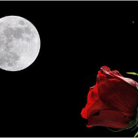 Profile avatar image for MoonSlater