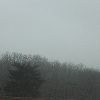 Profile avatar image for sleepcrime