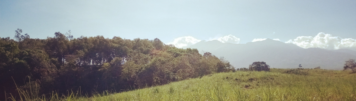 Profile banner image for InfiniteStarr