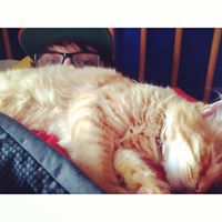 Profile avatar image for larztaylor