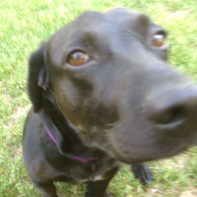 Profile avatar image for AvdReader