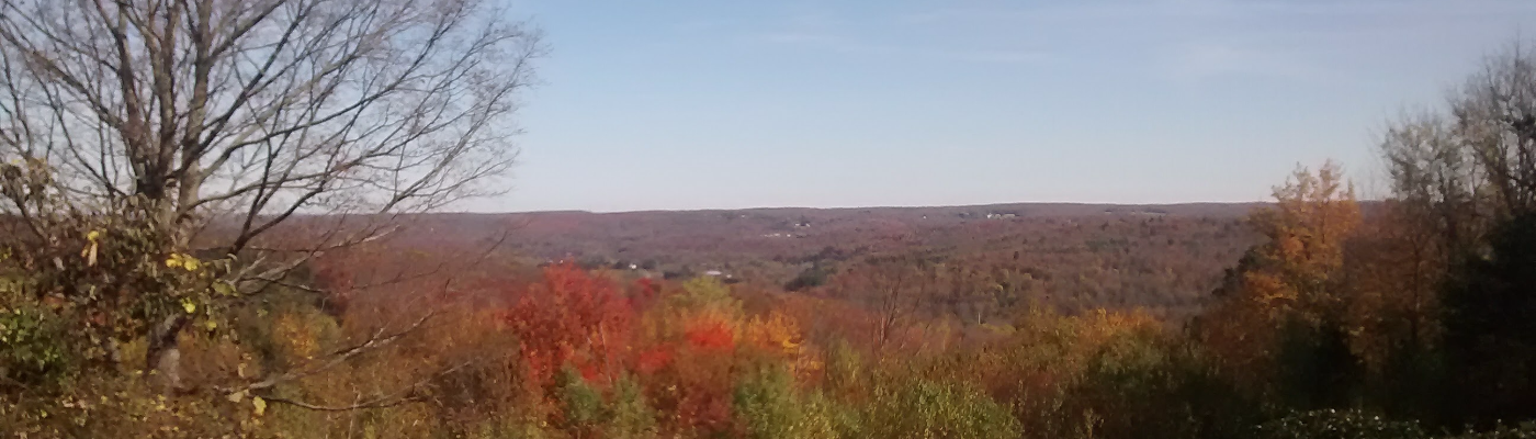 Profile banner image for wordsoflizdom