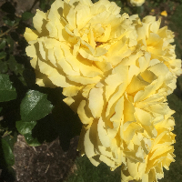 Profile avatar image for hannahbean