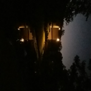 Profile avatar image for LooselyEnded