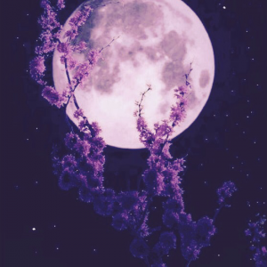 Profile avatar image for AdrianMichelle