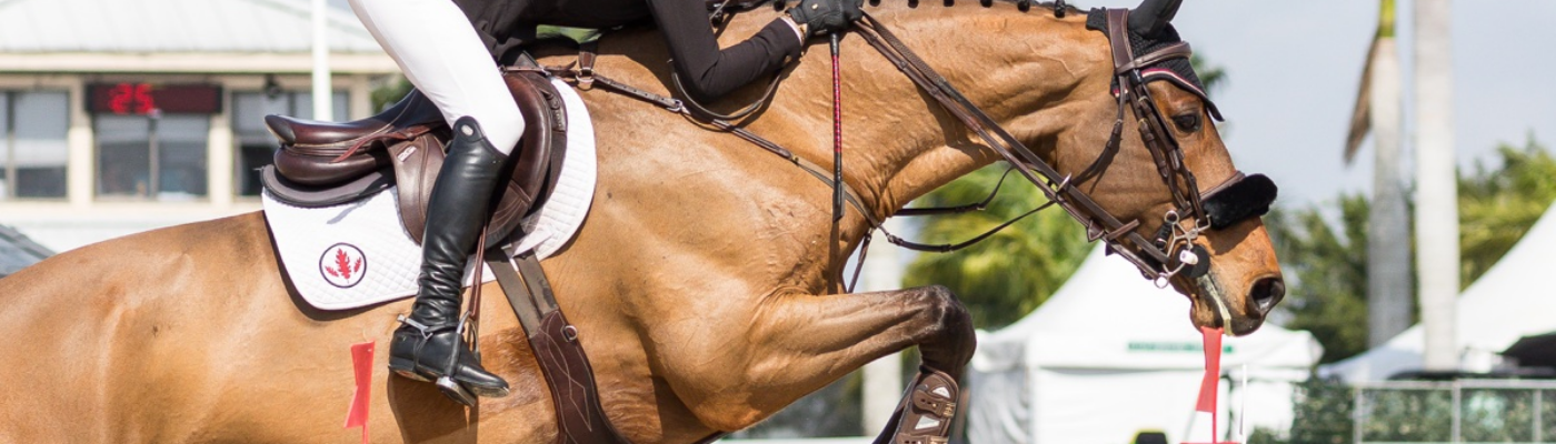 Profile banner image for Easthampton