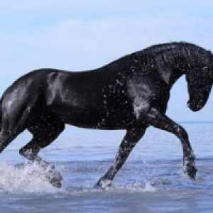 Profile avatar image for Easthampton