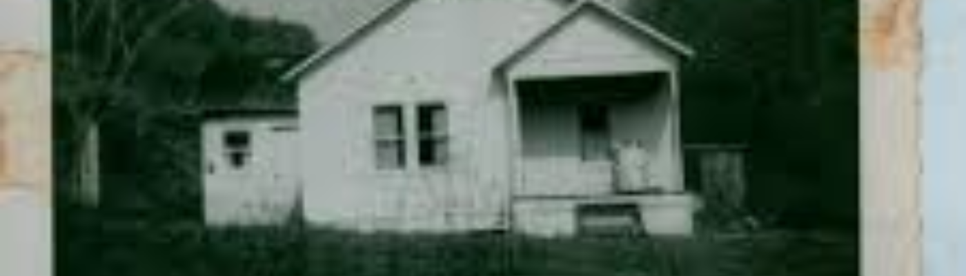 Profile banner image for zabetha