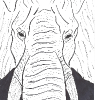 Profile avatar image for FisherKing