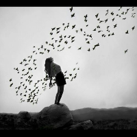 Profile avatar image for Raven