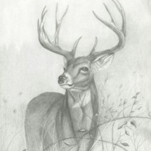 Profile avatar image for Screaming_Demon