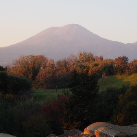 Profile avatar image for gingkoleaf