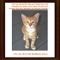 Profile avatar image for kittybaybe