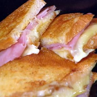 Profile avatar image for Hamsterdam