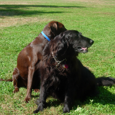 Profile avatar image for Sheila