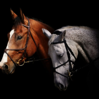 Profile avatar image for illusion