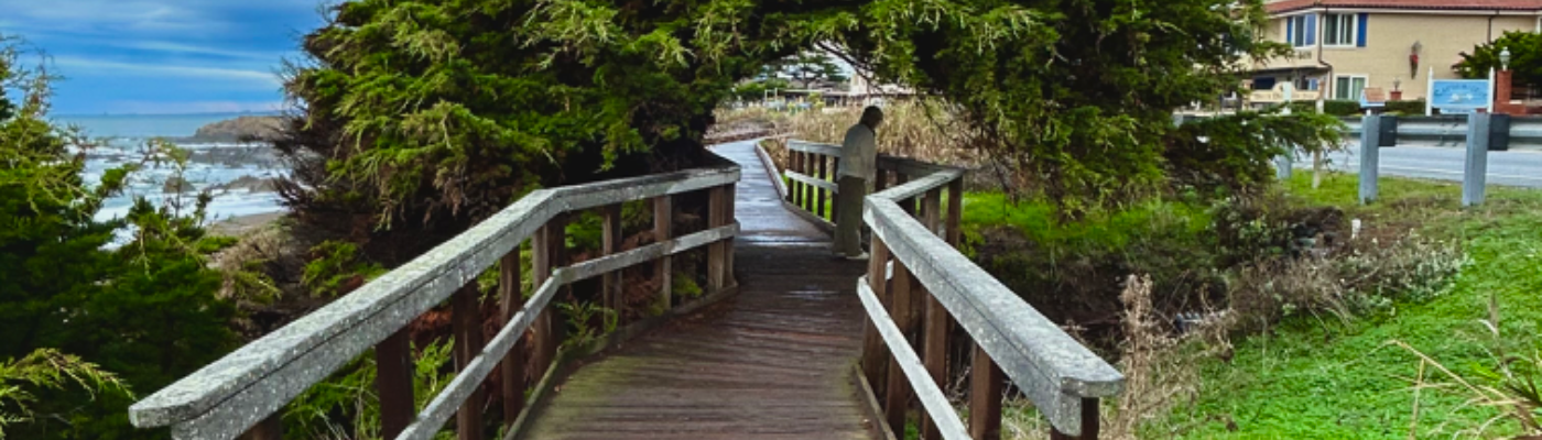 Profile banner image for ChaChiRox