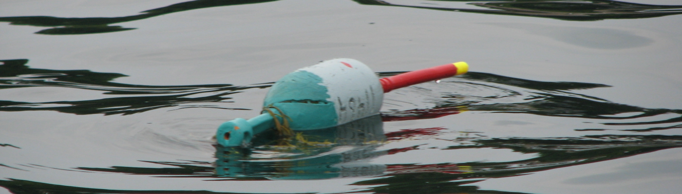 Profile banner image for kanders6