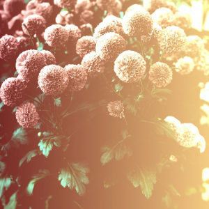 Profile avatar image for JustQuinn