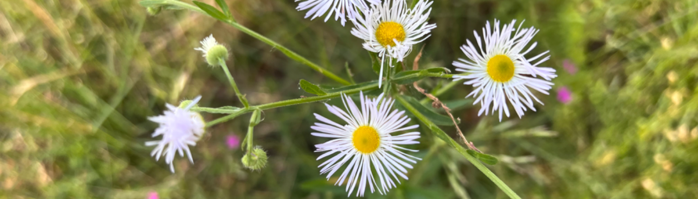 Profile banner image for Jessi