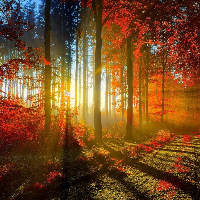 Profile avatar image for Jellybean2016