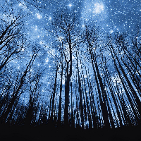 Profile avatar image for MayFlower