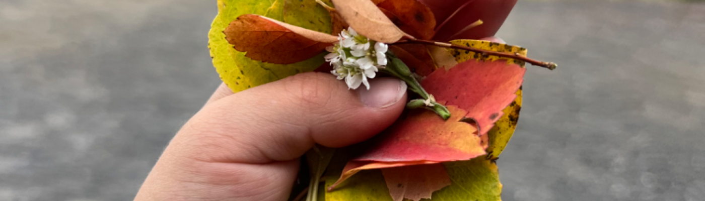 Profile banner image for loveinwriting