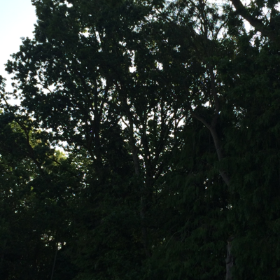 Profile avatar image for mdhope