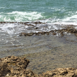 Profile avatar image for arhamazehra