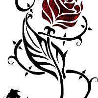 Profile avatar image for jaim