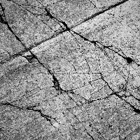 Profile avatar image for TheWild