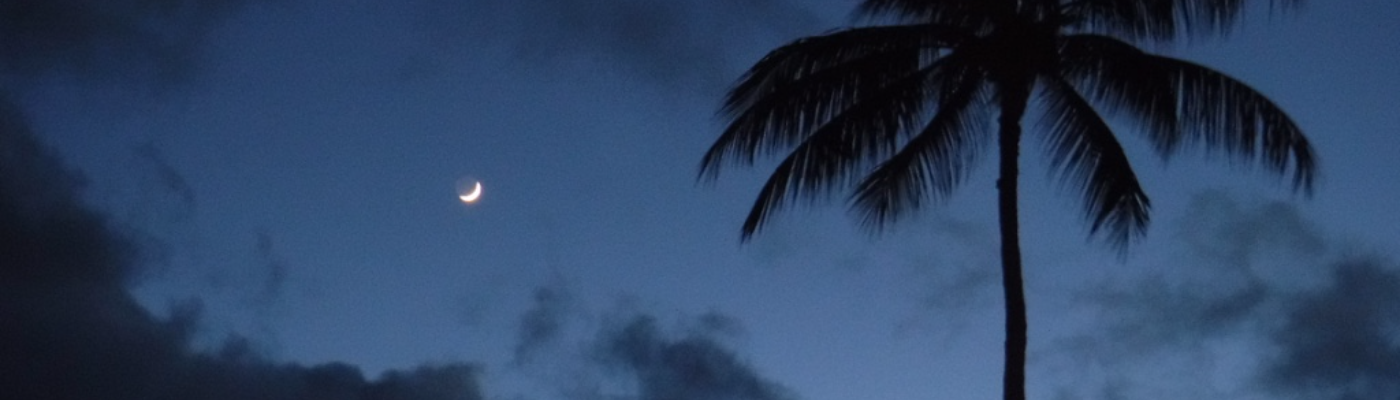 Profile banner image for Cimorene