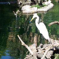 Profile avatar image for jenniferk22