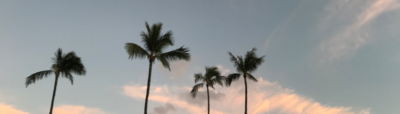 Profile banner image for Neelam