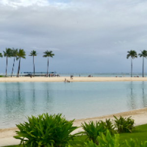 Profile avatar image for Neelam