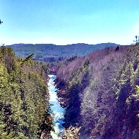 Profile avatar image for ShelleysMuse