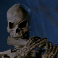 Profile avatar image for shroomlagoon